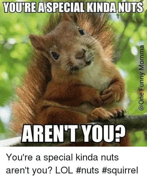 youre-a-special-kinda-nuts-arent-youp-youre-a-special-8208171.webp