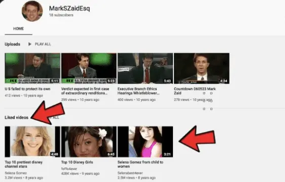 zaid youtube.webp