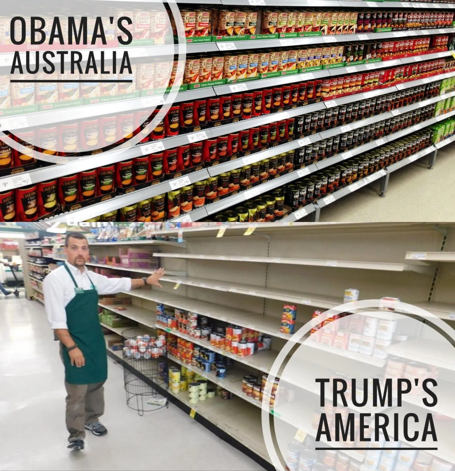 ZomboDroid 18022022194628-01.webp