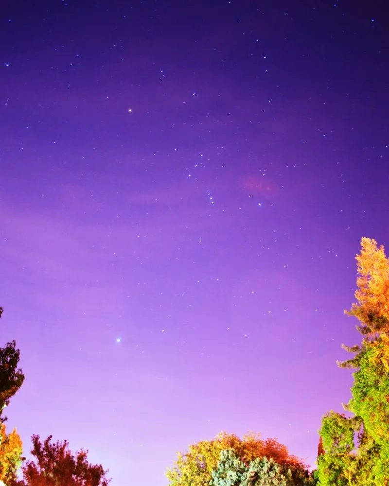 ZSC_2476n.webp