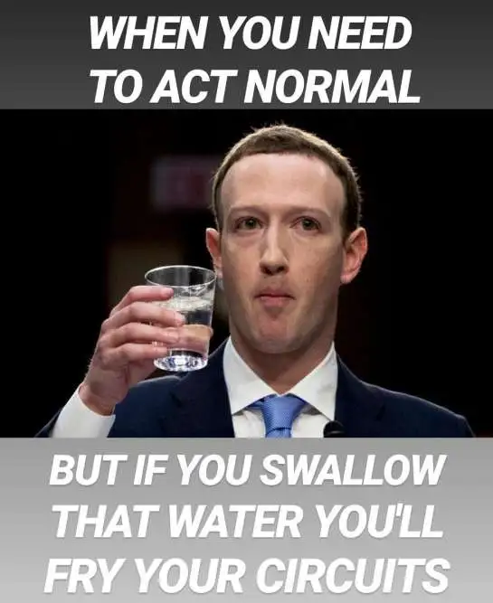 zuckerbergjdhdgde.webp