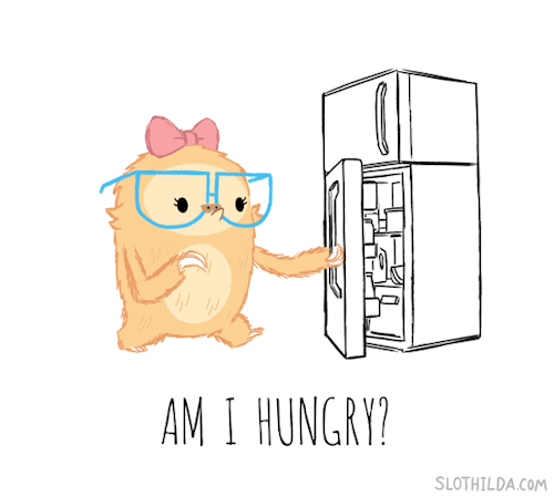 zzzz.gif