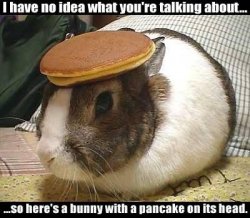 $rabbit_pancake.jpg