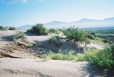 $Desert vista.JPG