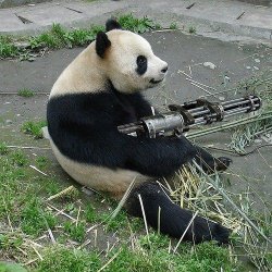 $panda killing.jpg