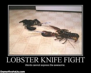 $lobster-knife-fight-demotivational-poster.jpg