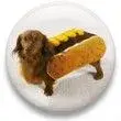 $weiner dog.webp