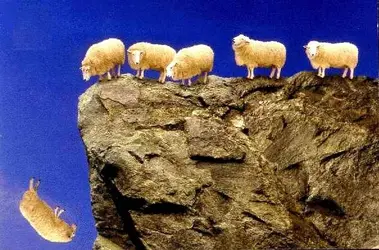 $sheep_off_cliff.webp