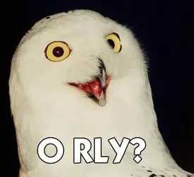 $orly_owl.webp