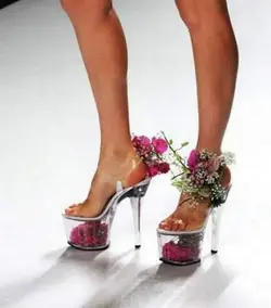 $shoe8.webp