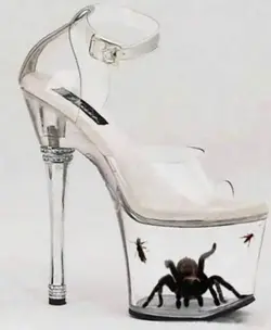 $shoe21.webp