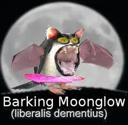 $barking.webp