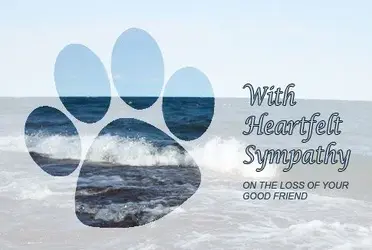 $loss of dog.webp