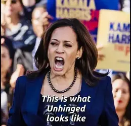 what unhinged looks like.webp