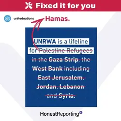 IMG_3970.webp IMG_3970.webp