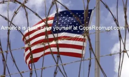 z_camp-delta-in-guantanamo-bayb.webp