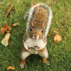 IMG_0174.webp IMG_0174.webp