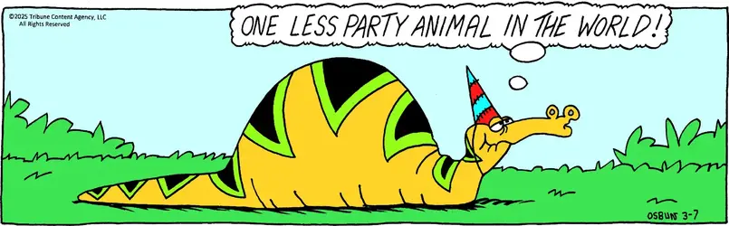 party animal.webp