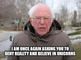 bernie unicorns.webp