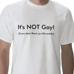 $its_not_gay_if_you_beat_them_up_afterwards_tshirt-p235635312733792971z7tqq_400.webp
