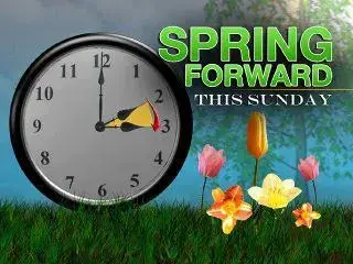 $spring.webp