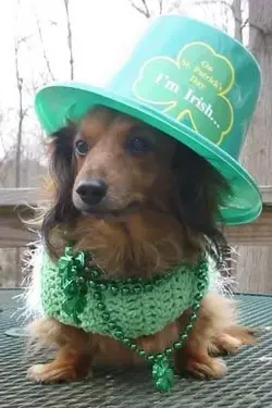$stpatricksday.webp