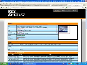 $fraud 5.webp