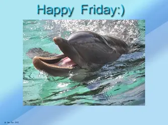 $dolphinhappyweekend.webp