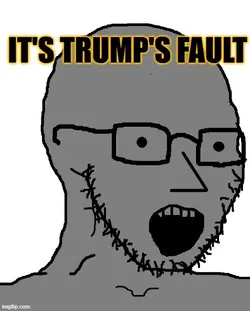 trumps fault.webp