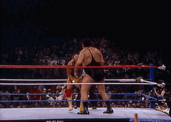 Hogan-looped-1922847653.gif