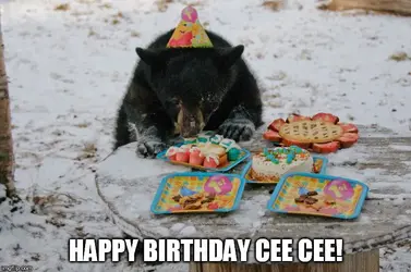 CeeCee BDay.webp