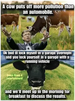 1755387122570.webp 1755387122570.webp