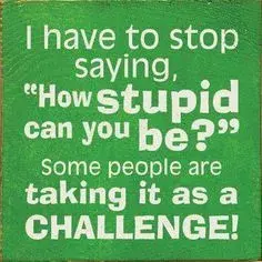 stupid.webp stupid.webp