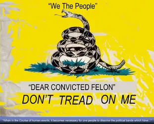 my don't tread on me convicted felon.webp
