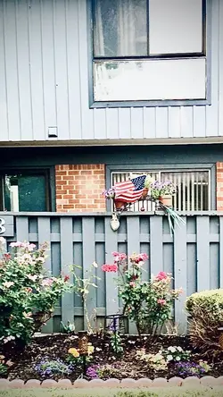 egoni3.webp egoni3.webp