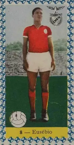 sile4235.webp sile4235.webp