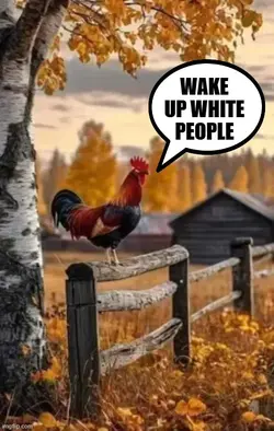 wake up white people.webp