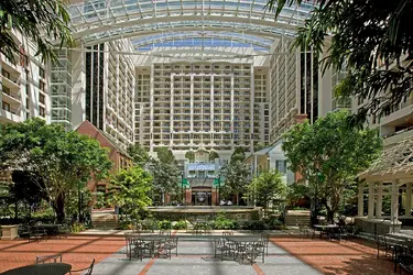 Looking_into_atrium-Gaylord.webp