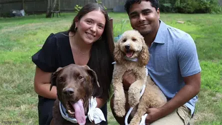 trump ate my dogs.webp