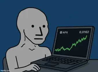 NPC at lap top.webp
