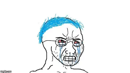 NPC crying.webp