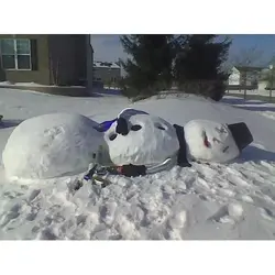 proxy-image (57).webp