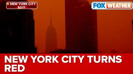 maxresdefault (19).webp