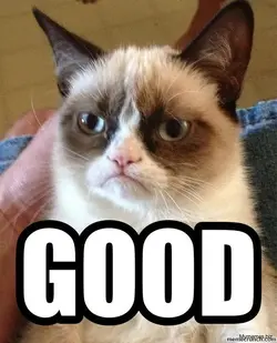 Grumpy-cat-good-meme.webp