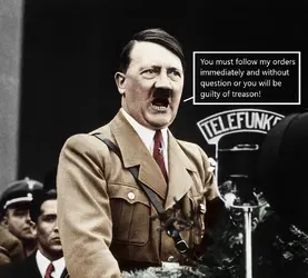 follow orders color.webp