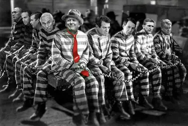 trump jailbirds.webp
