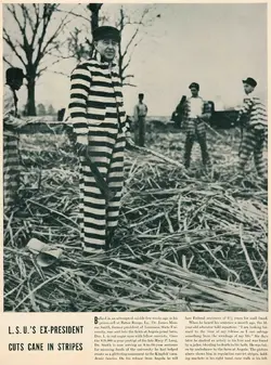 criminals and justice.webp