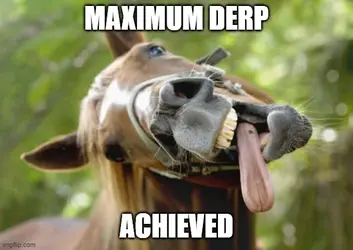 derp1.webp