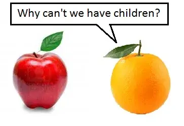 apples and oranges 1.1.webp