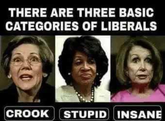 3 kinds of liberals.webp